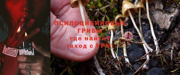 дживик Магадан