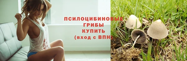 дживик Магадан